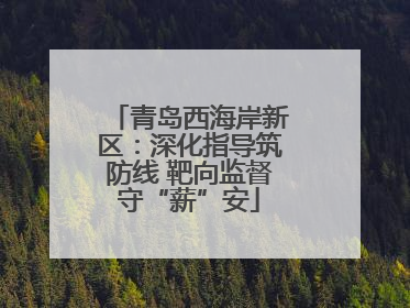 青岛西海岸新区：深化指导筑防线 靶向监督守“薪”安