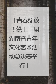 青春绽放！第十一届湖南省青年文化艺术活动总决赛举行