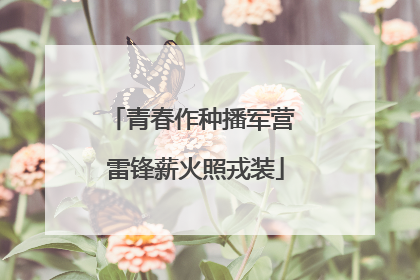 青春作种播军营 雷锋薪火照戎装