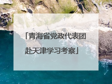 青海省党政代表团赴天津学习考察