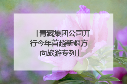 青藏集团公司开行今年首趟新疆方向旅游专列