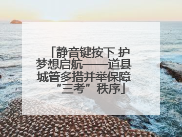 静音键按下 护梦想启航——道县城管多措并举保障“三考”秩序