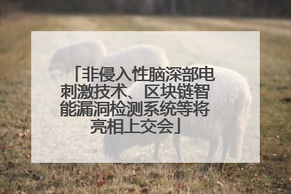非侵入性脑深部电刺激技术、区块链智能漏洞检测系统等将亮相上交会