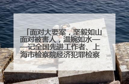 面对大要案，坚毅如山面对被害人，温婉如水——记全国先进工作者、上海市检察院经济犯罪检察部主任马玮玮