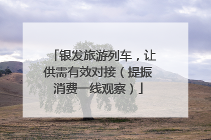 银发旅游列车，让供需有效对接（提振消费一线观察）