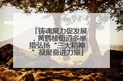 铸魂聚力促发展，黄鹤楼街道多举措弘扬“三大精神”凝聚奋进力量