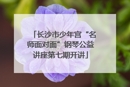 长沙市少年宫“名师面对面”钢琴公益讲座第七期开讲