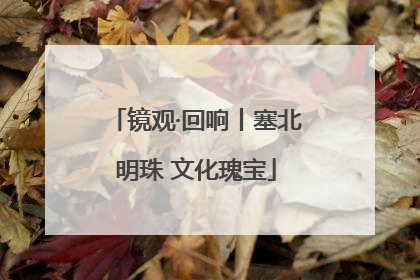 镜观·回响丨塞北明珠 文化瑰宝