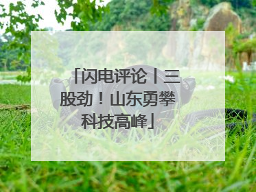 闪电评论丨三股劲！山东勇攀科技高峰