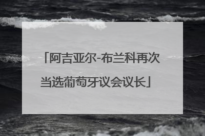 阿吉亚尔-布兰科再次当选葡萄牙议会议长