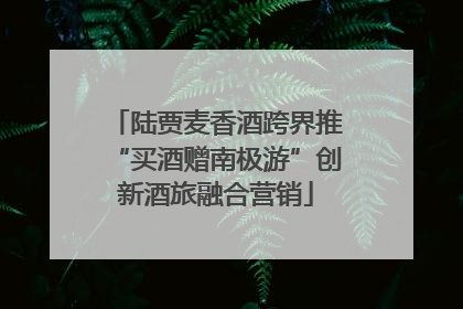 陆贾麦香酒跨界推“买酒赠南极游”创新酒旅融合营销
