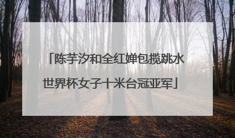 陈芋汐和全红婵包揽跳水世界杯女子十米台冠亚军