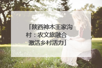 陕西神木王家沟村：农文旅融合 激活乡村活力