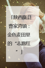陕西陇县曹家湾镇：金色麦田里的“志愿红”