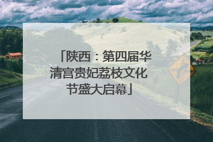 陕西：第四届华清宫贵妃荔枝文化节盛大启幕