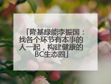 隆基绿能李振国：找各个环节有本事的人一起，构建健康的BC生态圈