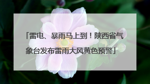 雷电、暴雨马上到！陕西省气象台发布雷雨大风黄色预警