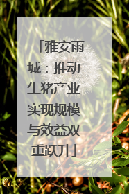 雅安雨城：推动生猪产业实现规模与效益双重跃升