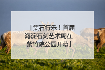 集石行乐！首届海淀石刻艺术周在紫竹院公园开幕