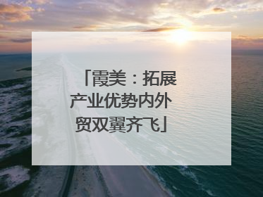 霞美：拓展产业优势内外贸双翼齐飞