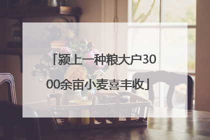 颍上一种粮大户3000余亩小麦喜丰收