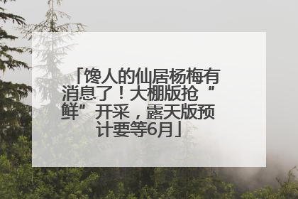 馋人的仙居杨梅有消息了！大棚版抢“鲜”开采，露天版预计要等6月