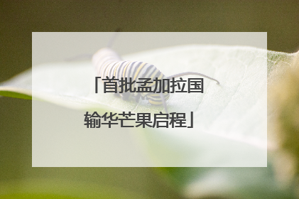 首批孟加拉国输华芒果启程