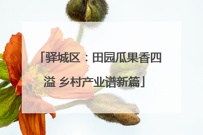 驿城区：田园瓜果香四溢 乡村产业谱新篇