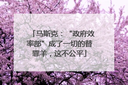 马斯克：“政府效率部”成了一切的替罪羊，这不公平