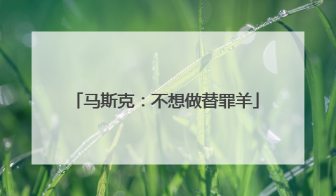 马斯克：不想做替罪羊