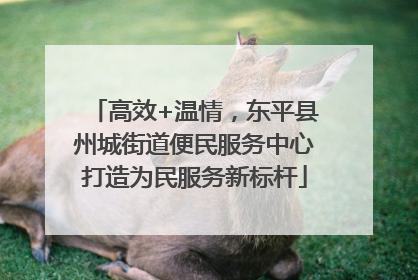 高效+温情，东平县州城街道便民服务中心打造为民服务新标杆