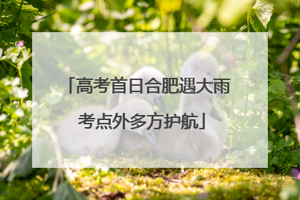 高考首日合肥遇大雨 考点外多方护航