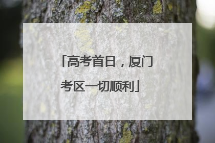 高考首日，厦门考区一切顺利