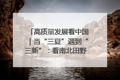 高质量发展看中国｜当“三夏”遇到“三新”：看南北田野里的科技共生记