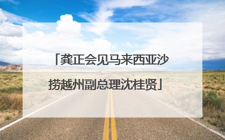 龚正会见马来西亚沙捞越州副总理沈桂贤