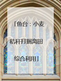 鱼台：小麦秸秆打捆离田综合利用