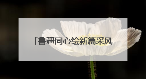 鲁疆同心绘新篇采风行（7）｜7年接续援助 “鲁疆情”食用菌从1.0走向4.0