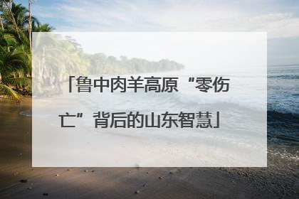 鲁中肉羊高原“零伤亡”背后的山东智慧
