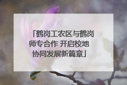 鹤岗工农区与鹤岗师专合作 开启校地协同发展新篇章