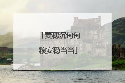 麦穗沉甸甸 粮安稳当当