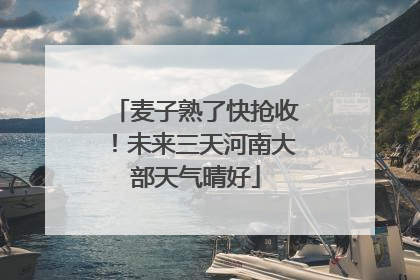 麦子熟了快抢收！未来三天河南大部天气晴好