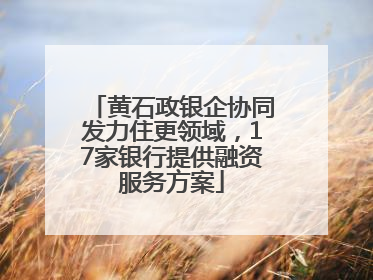黄石政银企协同发力住更领域，17家银行提供融资服务方案