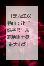 黑龙江双鸭山：让“绿字号”从寒地黑土挺进大市场