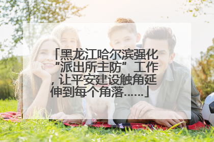 黑龙江哈尔滨强化“派出所主防”工作，让平安建设触角延伸到每个角落……