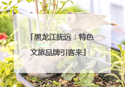 黑龙江抚远：特色文旅品牌引客来