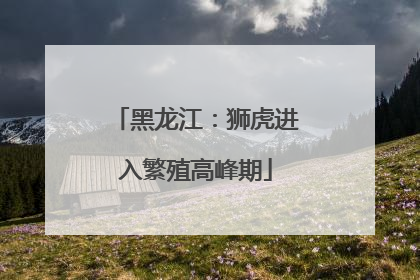 黑龙江：狮虎进入繁殖高峰期