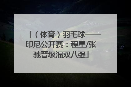 （体育）羽毛球——印尼公开赛：程星/张驰晋级混双八强