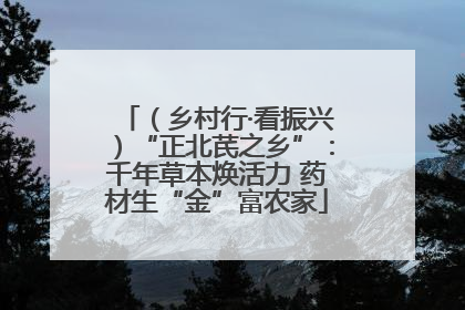 （乡村行·看振兴）“正北芪之乡”：千年草本焕活力 药材生“金”富农家