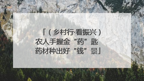 （乡村行·看振兴）农人手握金“药”匙 药材种出好“钱”景