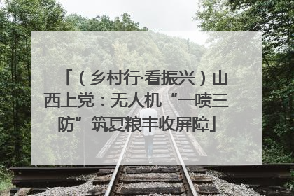 （乡村行·看振兴）山西上党：无人机“一喷三防”筑夏粮丰收屏障